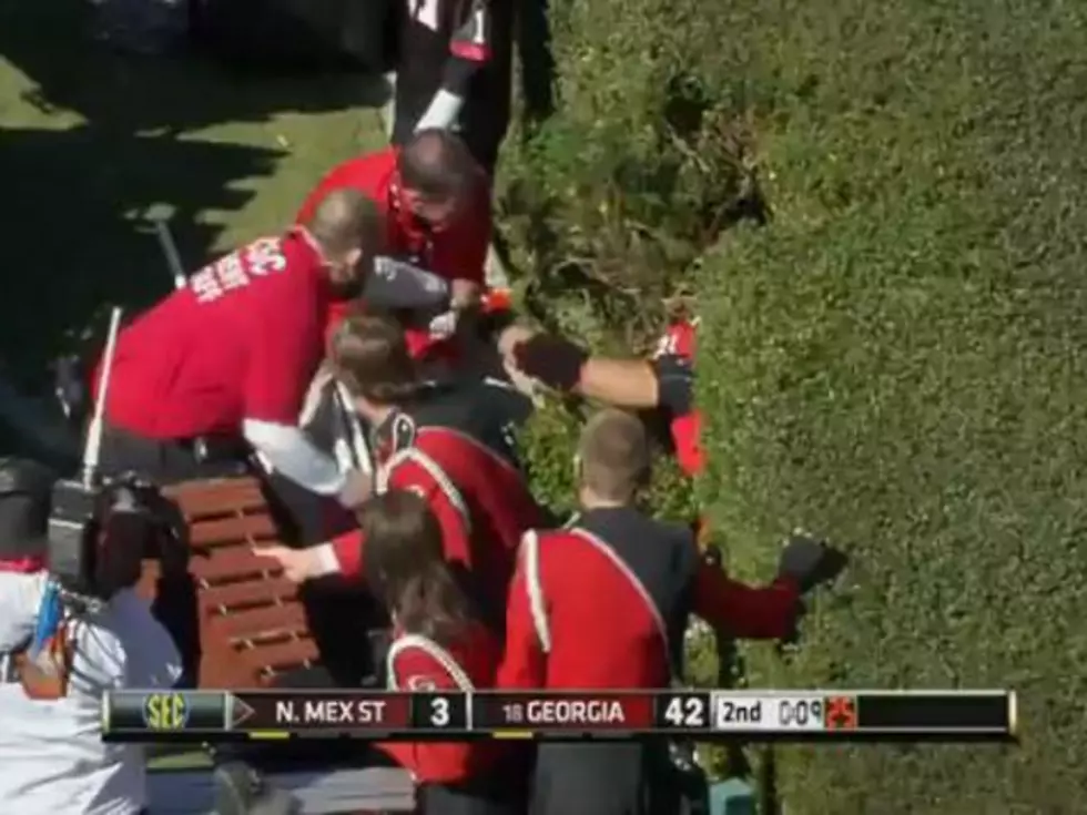 University of Georgia Player Plows Into Hedges After Touchdown [VIDEO]