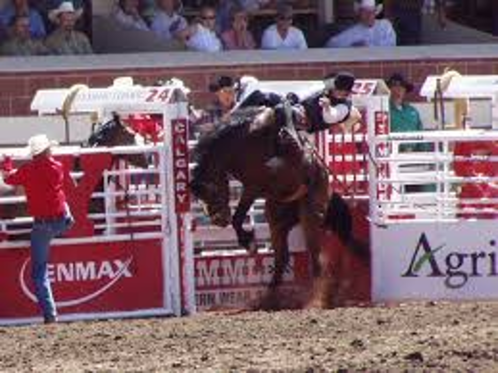 2 Wyoming Natives Qualify For NFR