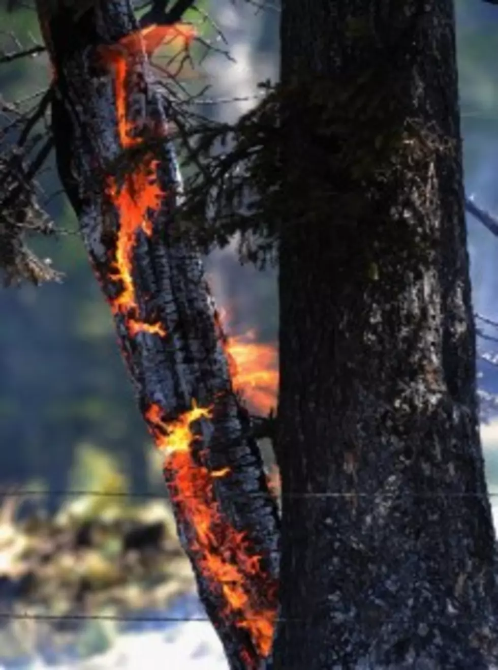 Health Concerns Sparked by Wyoming Wildfires