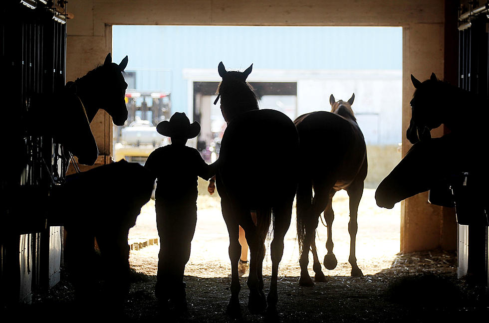 National High School Finals Rodeo To See Improvements Through State Grant