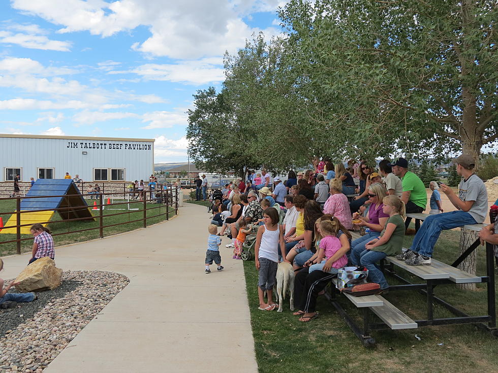 Favorite Part of the Albany County Fair? – Survey of the Day