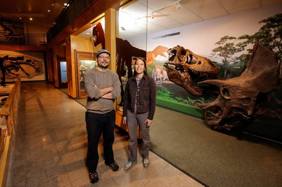 UW Geological Museum Reopening After $1 Mil Renovation