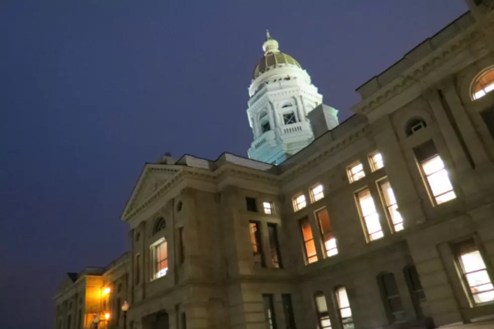 Wyo. Legislature Will Not Override Mead’s Vetoes