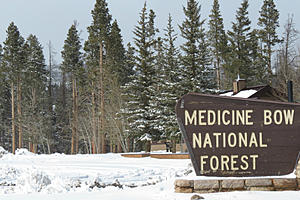 Update: Missing Group Rescued in Medicine Bow National Forest