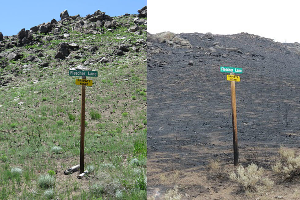 Squirrel Creek Fire: One Year Later [PHOTOS]