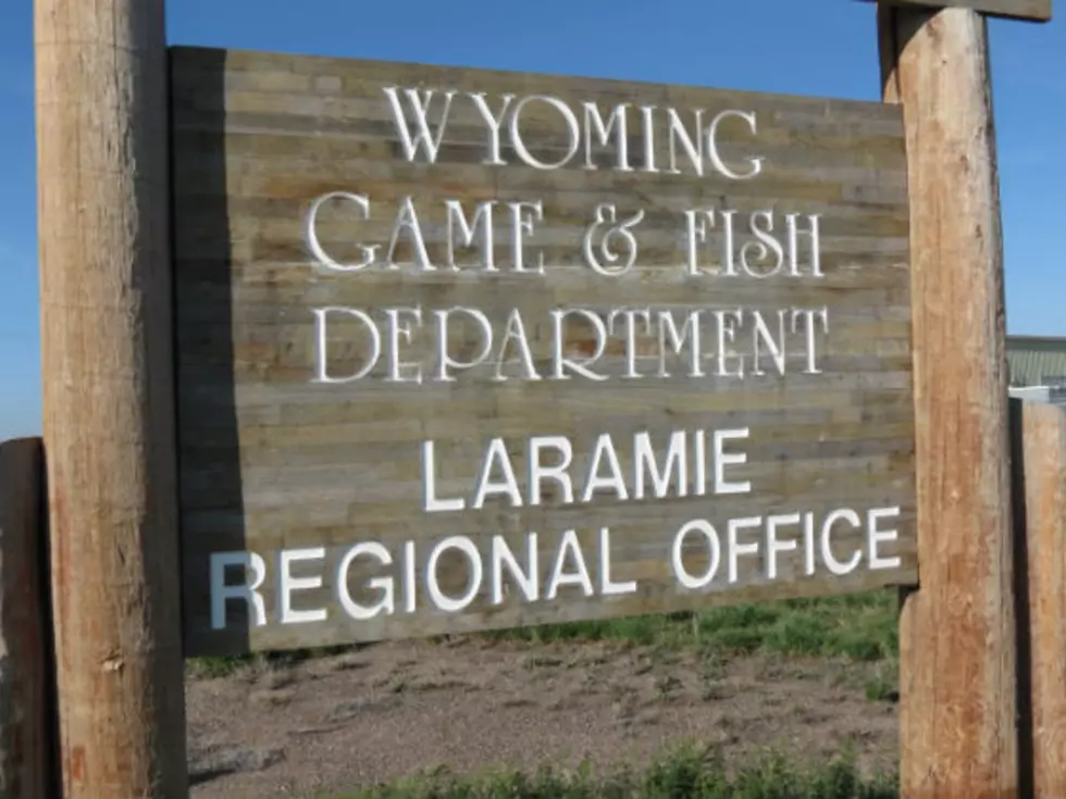 Wyoming Game And Fish Investigating Pronghorn Poaching Case