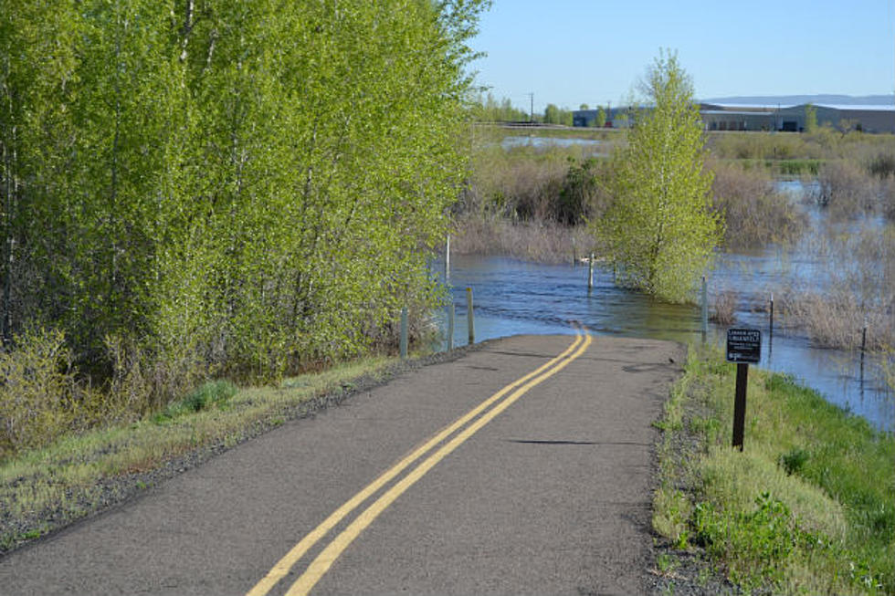 Laramie River Above Flood Stage