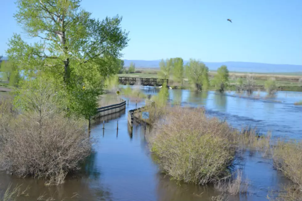Flood Warning Continued For Laramie River