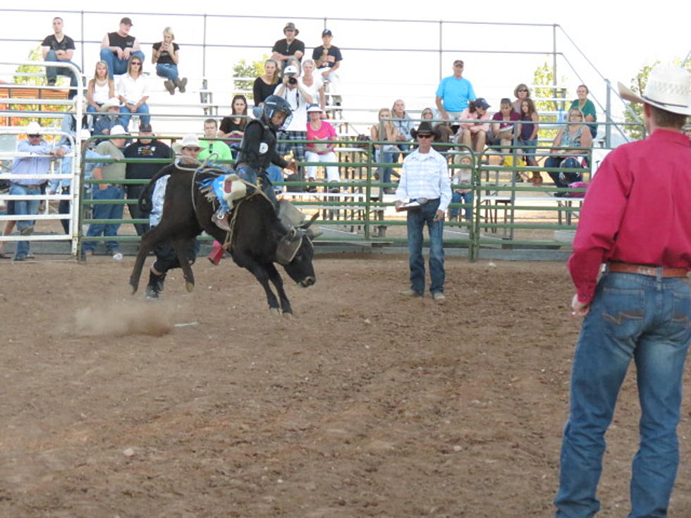 Rides Were Sparse At Jubilee Days Junior Bull Riding