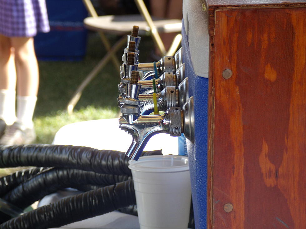 2014 Laramie Brewfest [GALLERY]