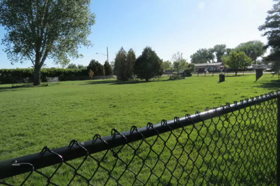 Mud Causes Temporary Closure Of Large Dog Area At Optimist Park