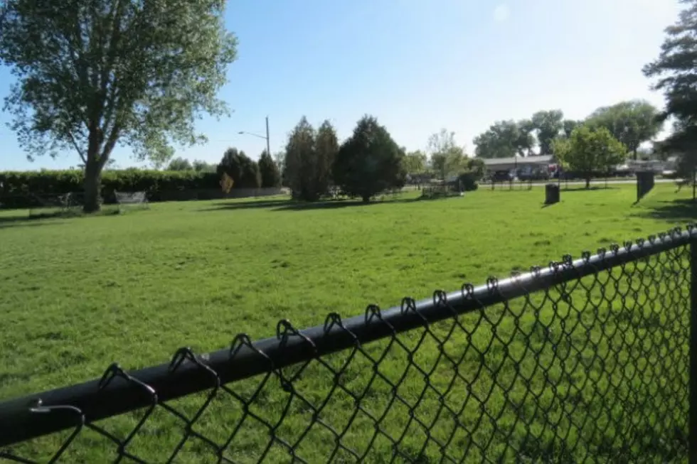 Optimist Park Maintenance on Friday