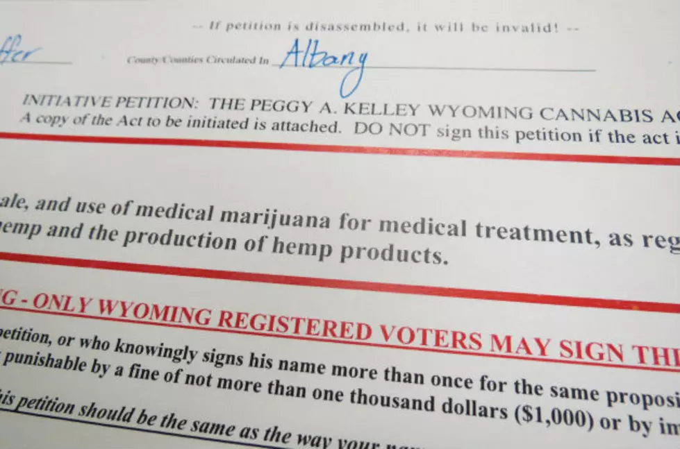 Medical Marijuana Petition Efforts in Albany County [VIDEO]