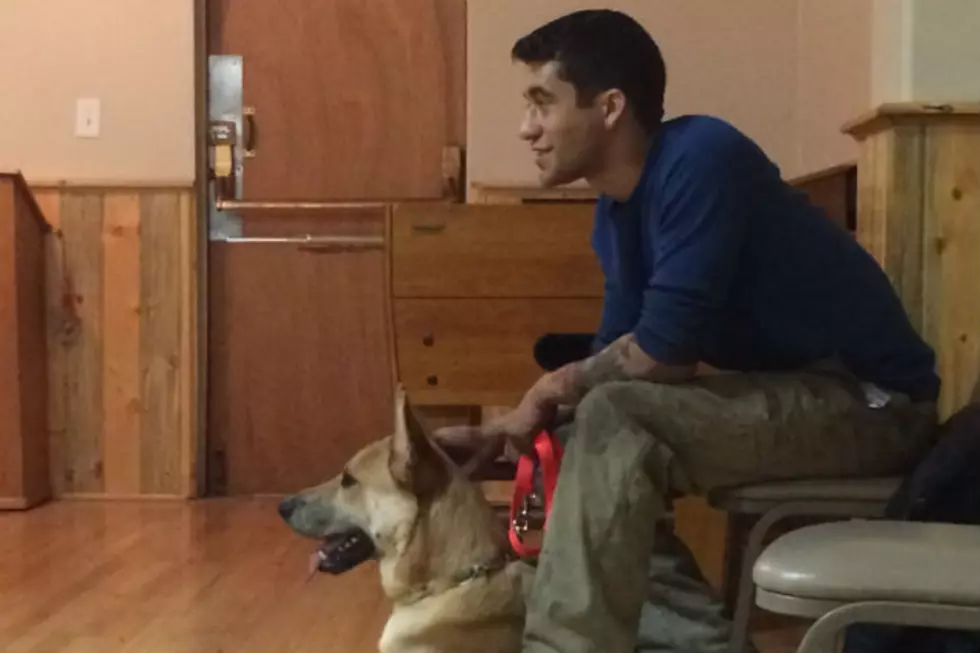 Service Dogs Heal Vets [VIDEO]
