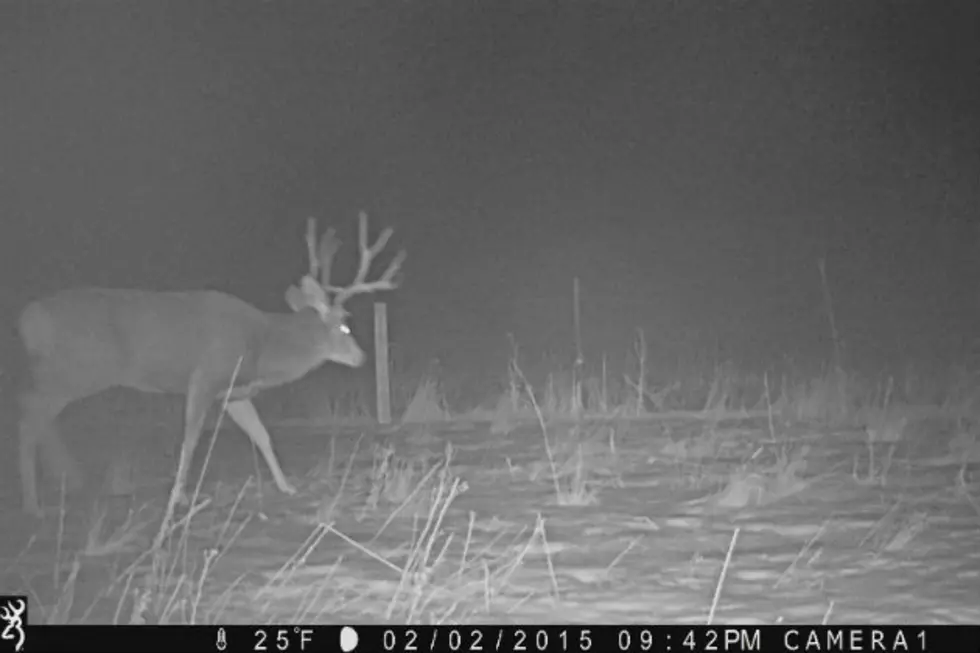 Wyoming Game and Fish Department Seeks Missing Trail Camera