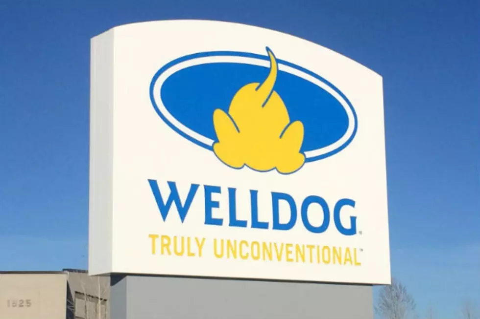 WellDog Secures $27M in Contracts 