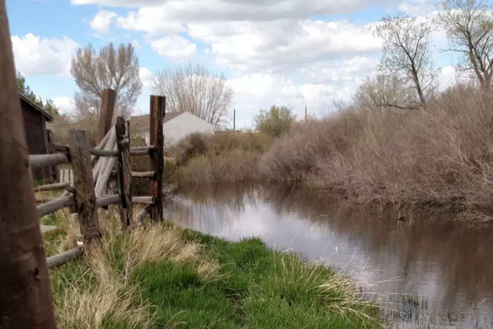 Installation of ‘Gutter Bins’ in Laramie