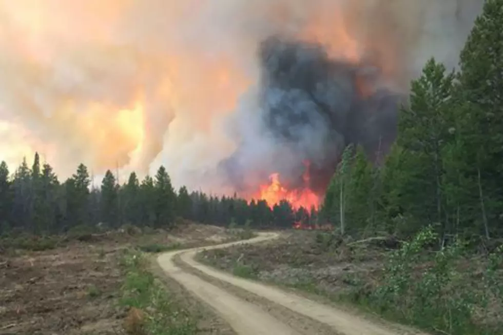 Fire Tops 20,000 Acres in Size