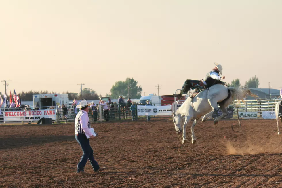 Jubilee Days Rodeo Delivers High Level Performances