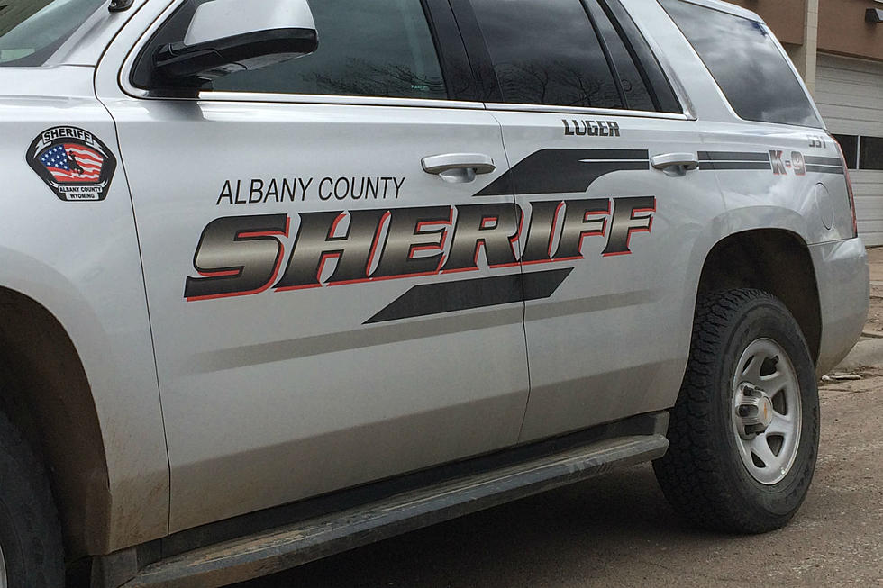 Josh DeBree Succeeds Late Father as Albany County Undersheriff