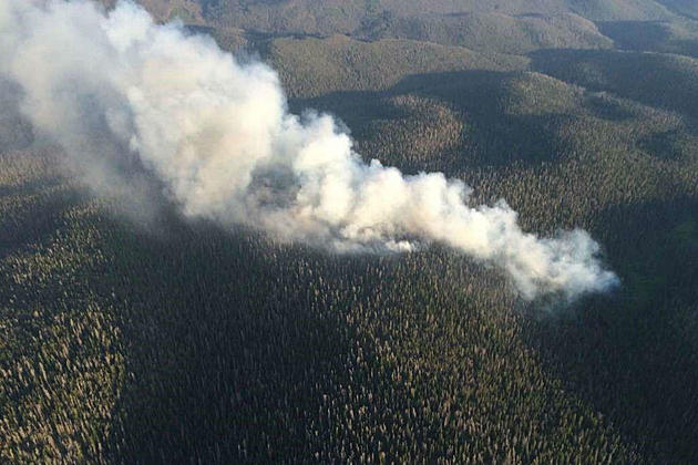 Prescribed Burns Planned in Southeast Wyoming