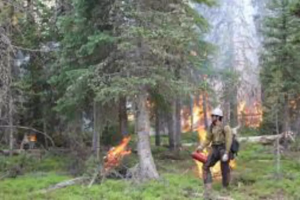 Keystone Fire Continues To Grow [VIDEO] [UPDATE &#8211; DAY 8]