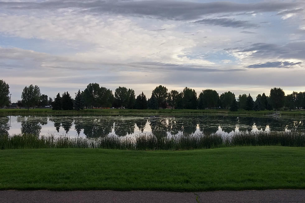 LaBonte Lake Smell is Highly Concerning to Laramie Parks and Rec Director [VIDEO]