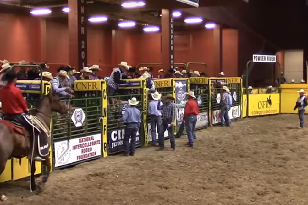 Two Top Four Results Put UW Rodeo in Top Eight At CNFR