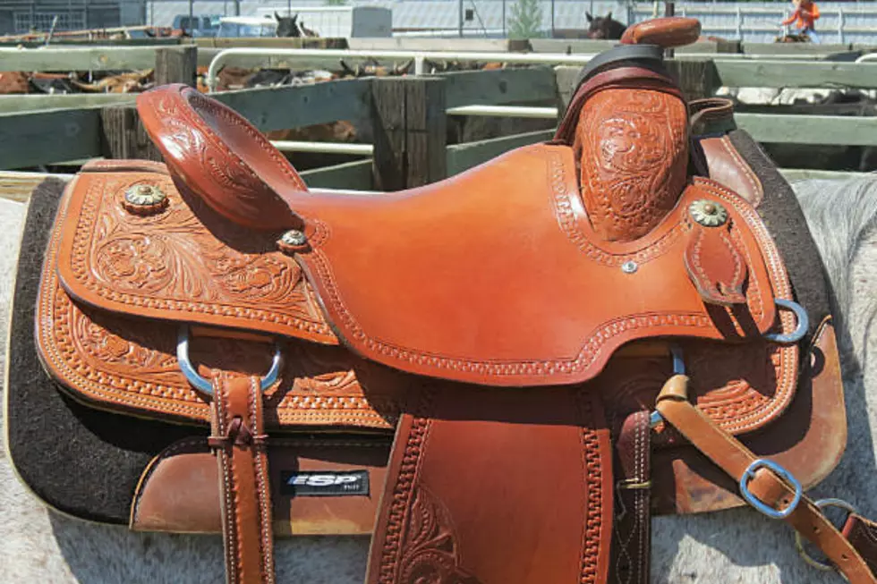 Laramie's Alexis Manley Wins Two State Rodeo Crowns