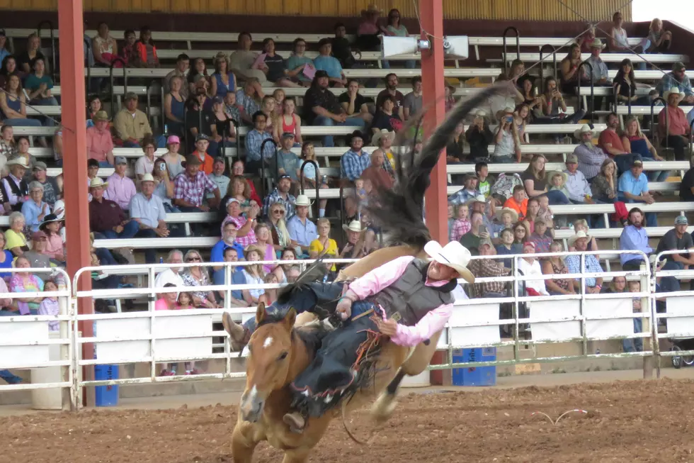 Laramie Jubilee Days Rodeo Champions Earn Their Spot [VIDEOS]
