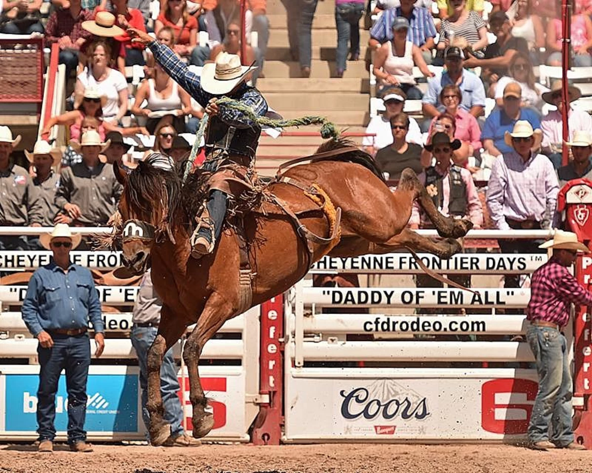 Cheyenne Frontier Days Rodeo Results Thursday July 25