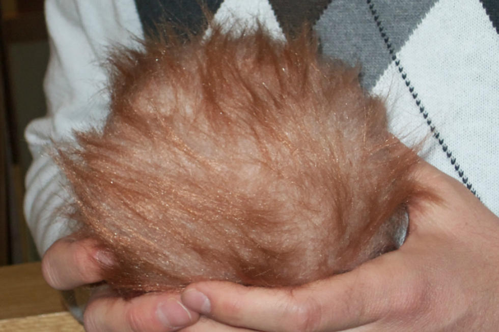 Can You Name This Tribble?
