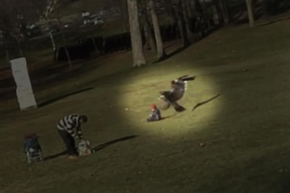Eagle Tries to Snatch Child in Viral Video [VIDEO]