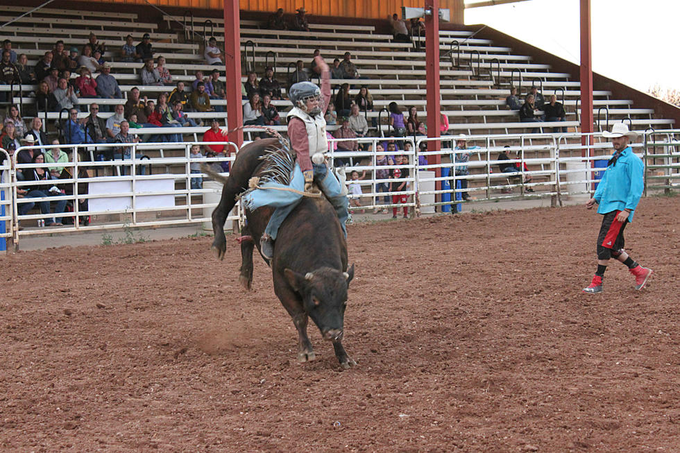Six Cowboys Win Buckles at Jubilee Days Junior Bull Riding