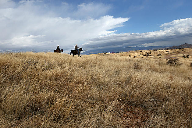 Thrillist Claims ‘Brokeback Mountain’ is Best Movie That Takes Place in Wyoming [POLL]