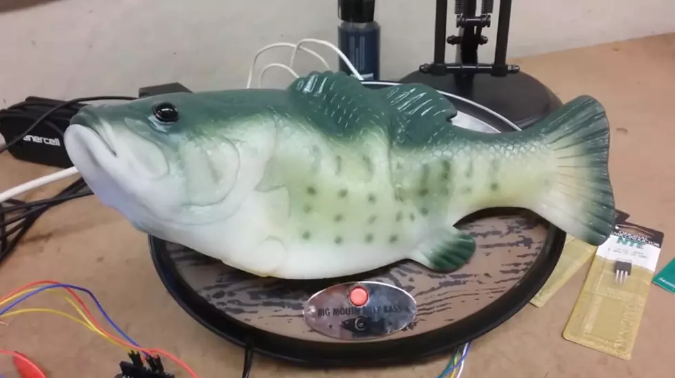 Big Mouth Billy Bass / Alexa Hybrid – We Want One [VIDEO]