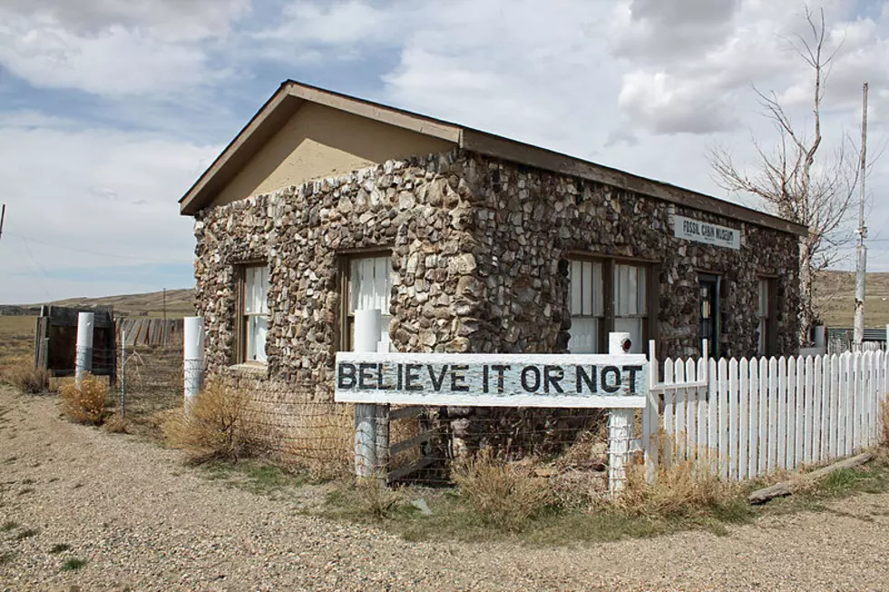 Iconic "Fossil Cabin" To Be Moved To Medicine Bow Museum