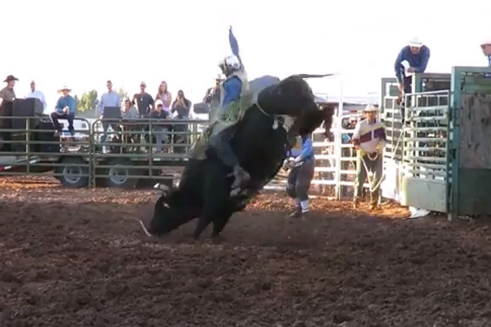 Jordan Wacey Spears Wins Mr. T Xtreme Bulls [VIDEOS]