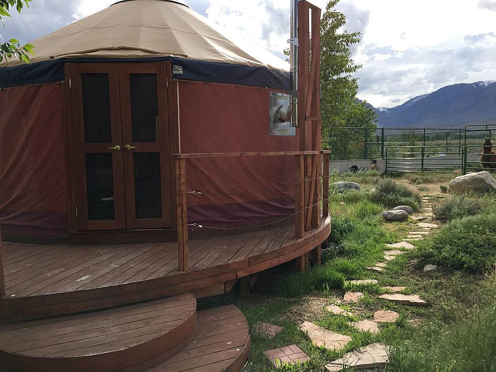 Check Out This Cool Yurt AirBnb Near Yellowstone!