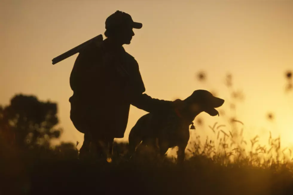 Wyoming Game and Fish Department Has New Laws and Regulations