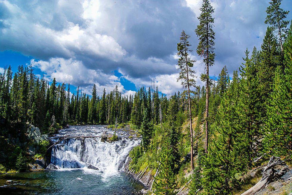 Yellowstone National Park is a Top Park in the World for Mental Health