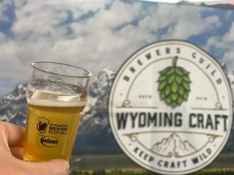 It Was a Perfect Weekend for the Wyoming Brewers Festival