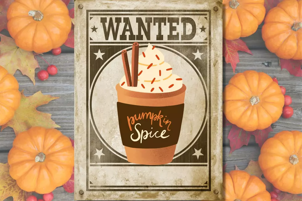 Where to Find Delish Pumpkin Spice Lattes in Cheyenne & Laramie