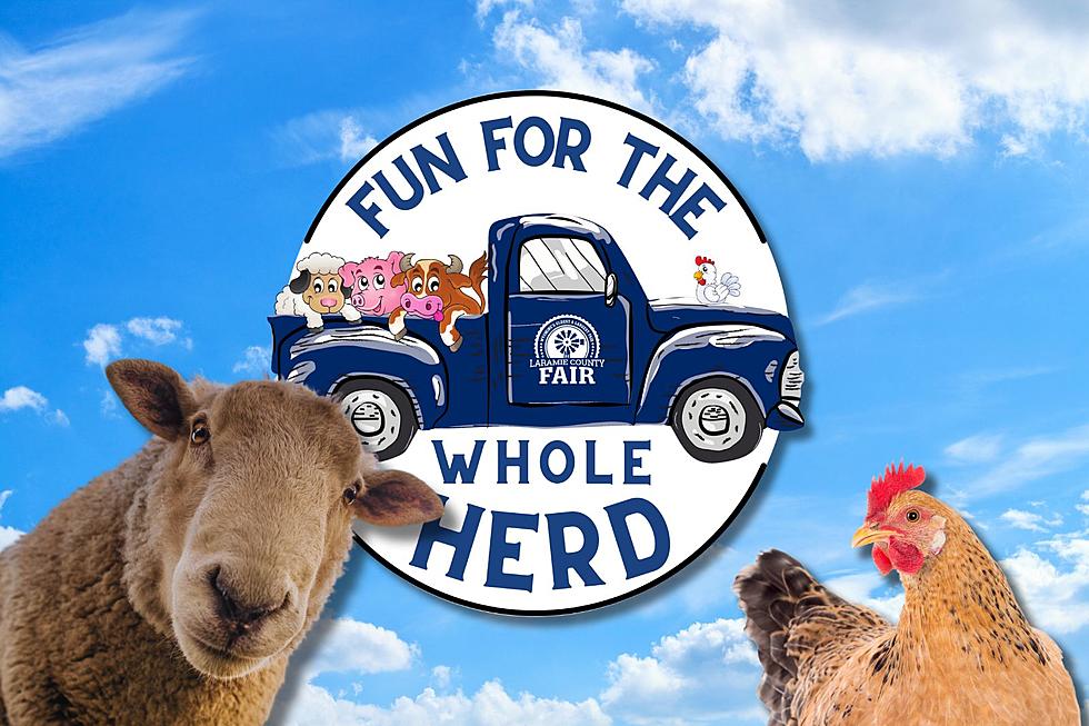 Have You Herd? Laramie County Fair Kicks Off Tomorrow in Cheyenne
