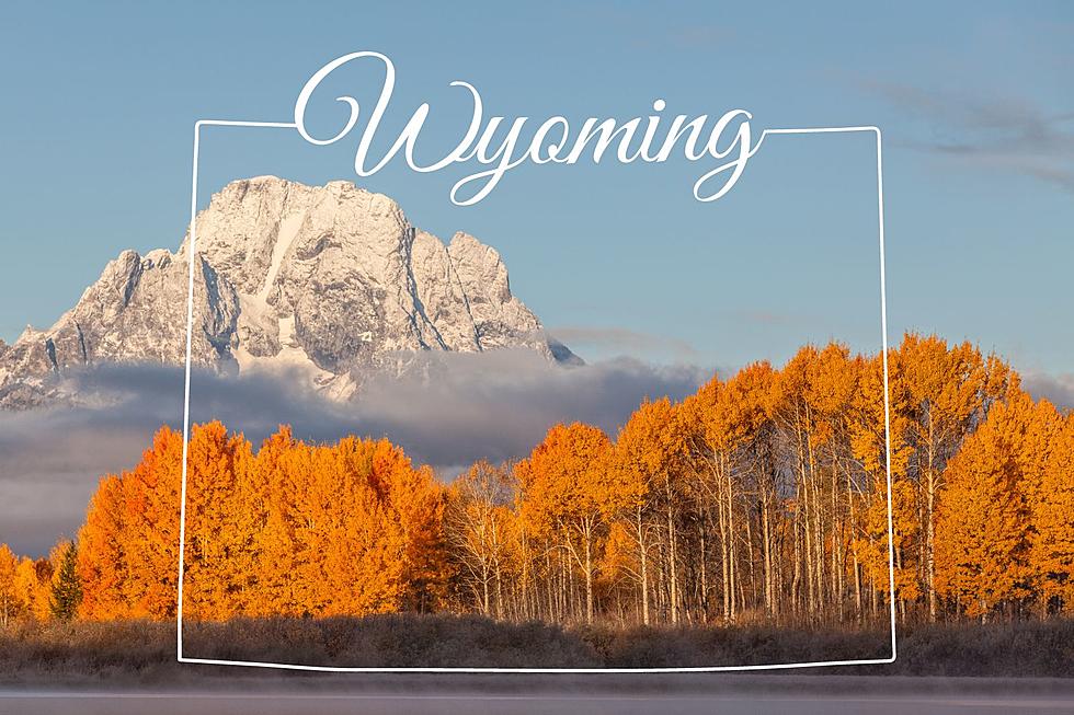 Fall Color Guide 2023: When Will Wyoming&#8217;s Leaves Start Changing?