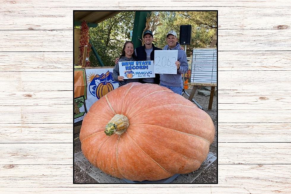 Cheyenne Duo Smash Wyoming Pumpkin Record with 2,062 lb Gourd