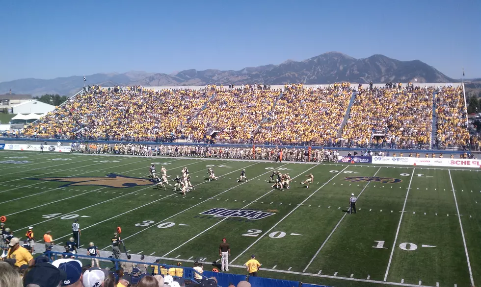 How Many Montana State Bobcats Does it Take to Catch a Squirrel?