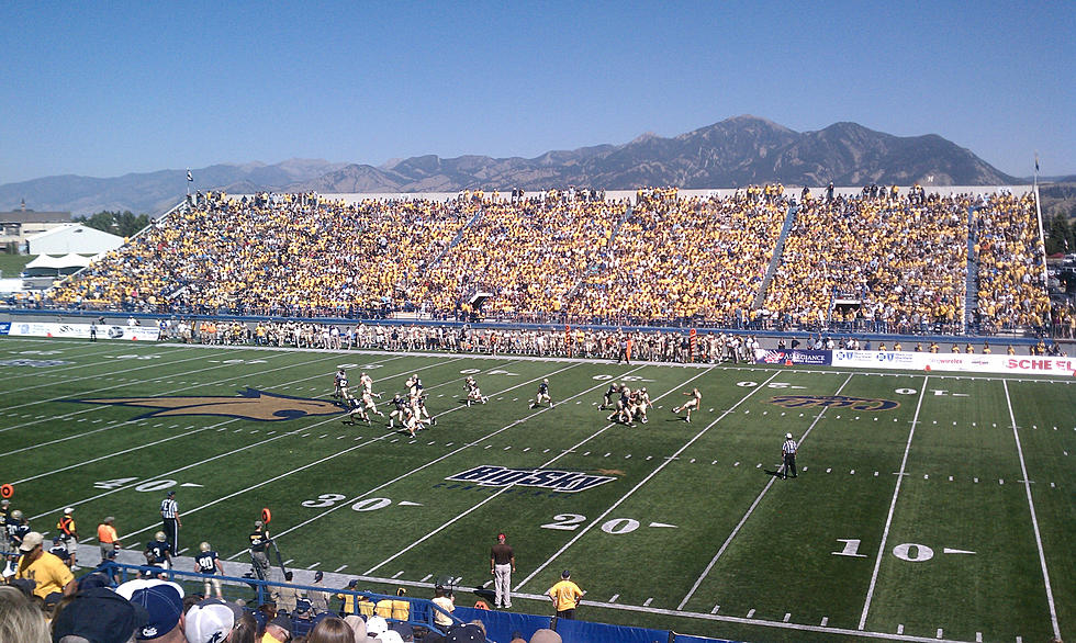How Many Montana State Bobcats Does it Take to Catch a Squirrel?