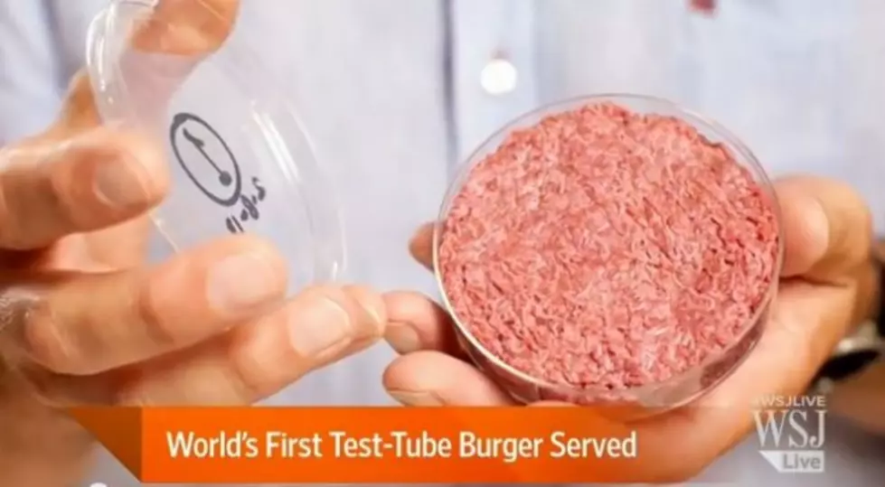 World&#8217;s First Test Tube Hamburger Isn&#8217;t Bad
