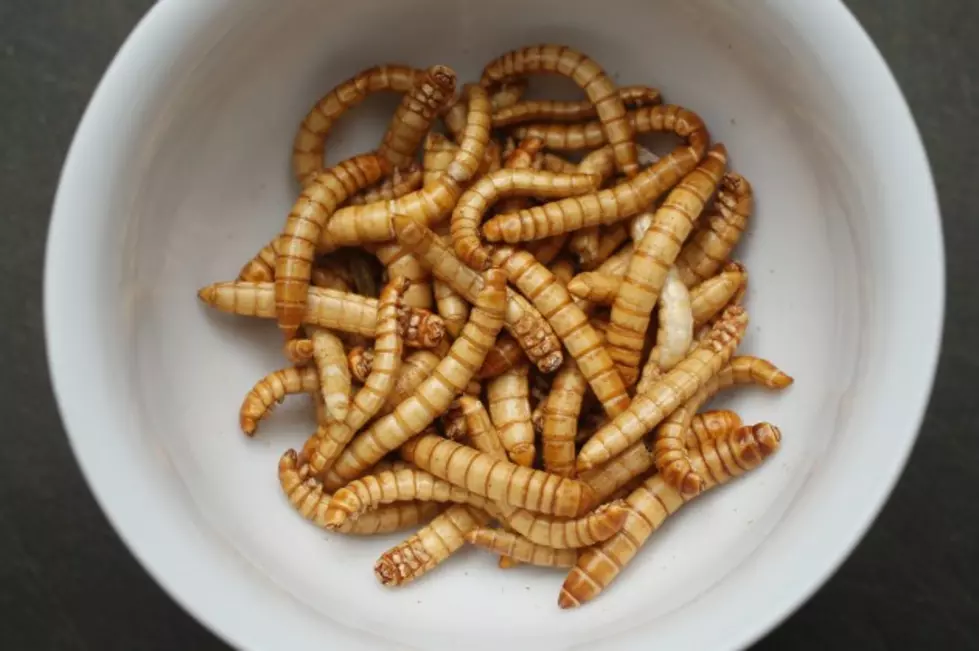 The Weirdest Snack Food I&#8217;ve Ever Eaten: Worms